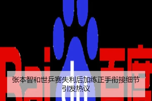 张本智和世乒赛失利后加练正手衔接细节引发热议